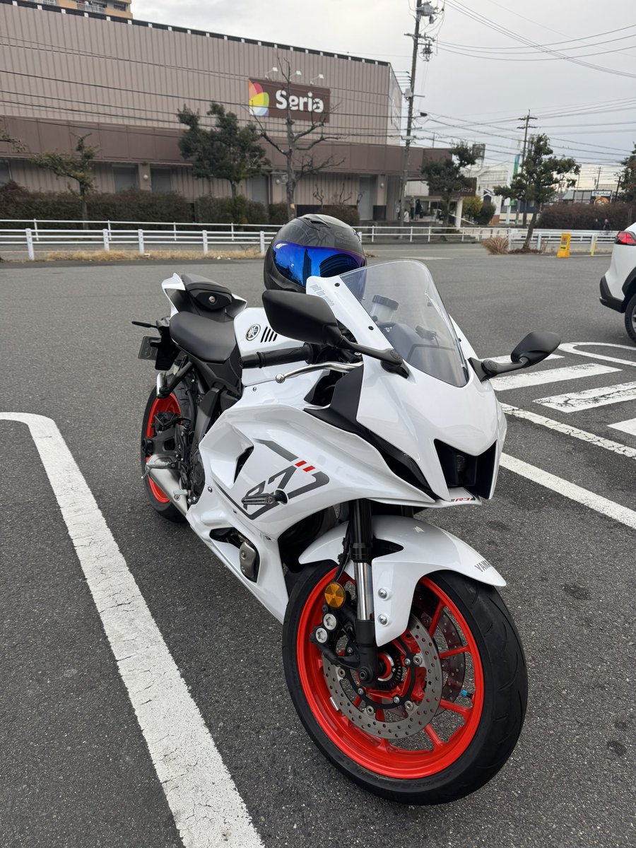 HamuHamu tweet media