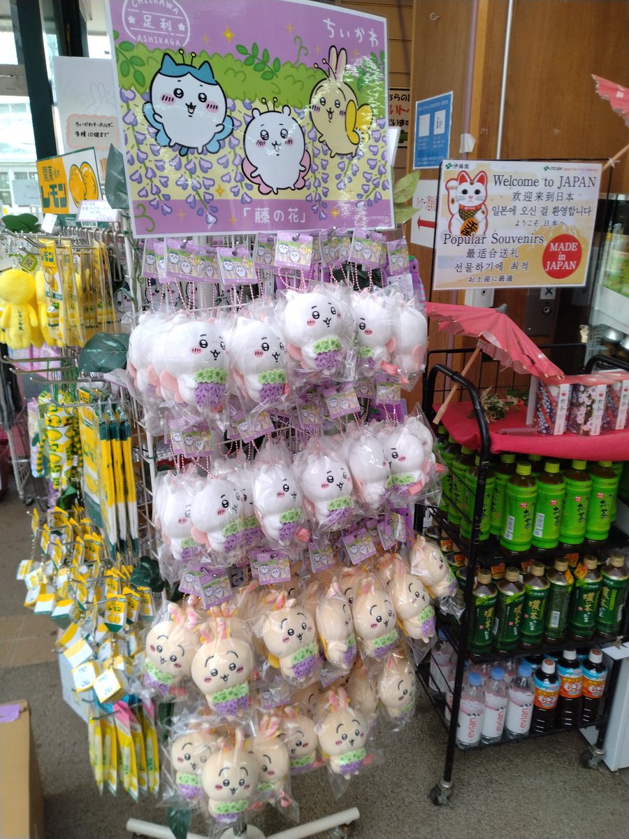 本日 #あしかがフラワーパーク 正面売店にて #藤の花ちいかわ #藤の花