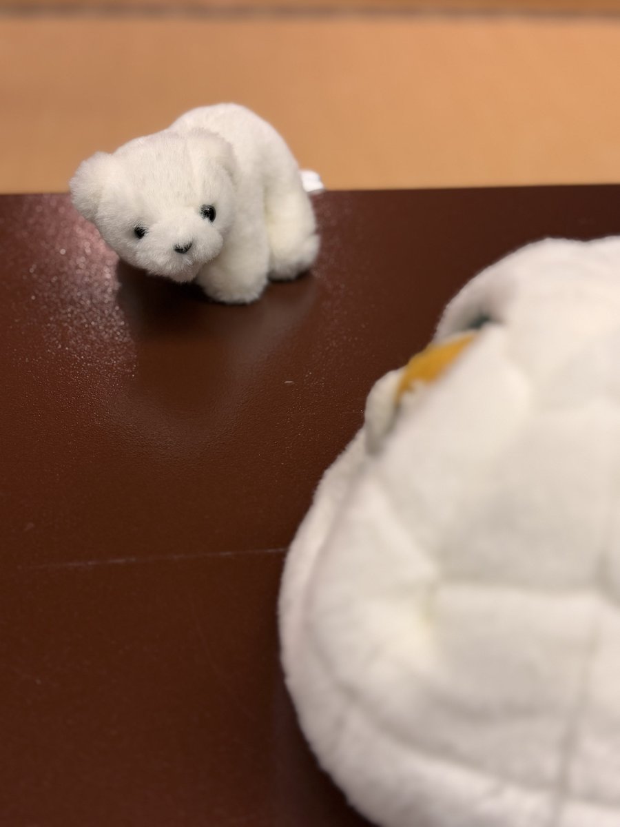 gogo_hammer's tweet photo. そ…それ…
ぼくのおうちです……🐻‍❄️

ﾊﾝﾏ？( ╹ (ᴥ)╹) https://t.co/HDgDfcCu6V