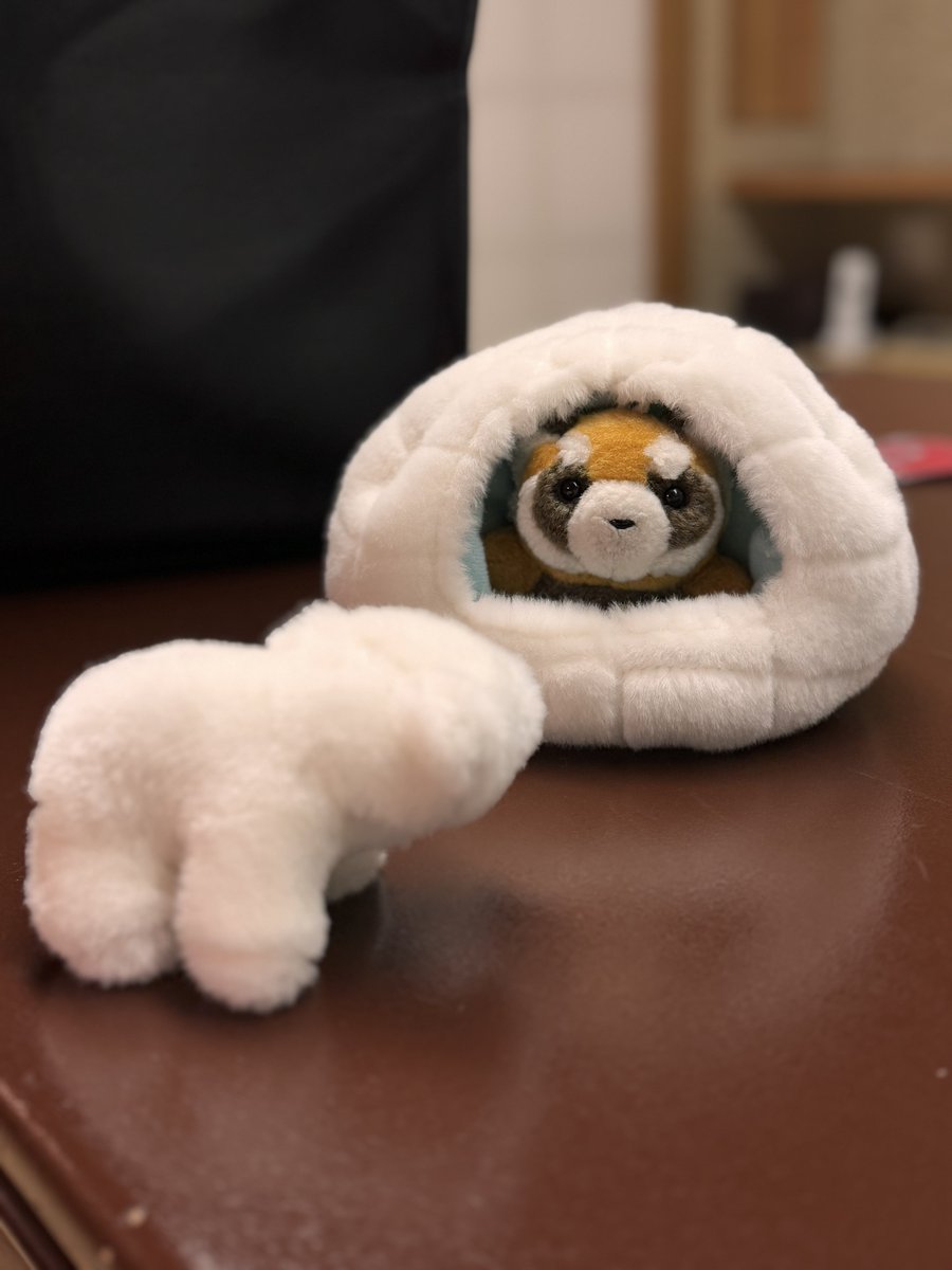 gogo_hammer's tweet photo. そ…それ…
ぼくのおうちです……🐻‍❄️

ﾊﾝﾏ？( ╹ (ᴥ)╹) https://t.co/HDgDfcCu6V