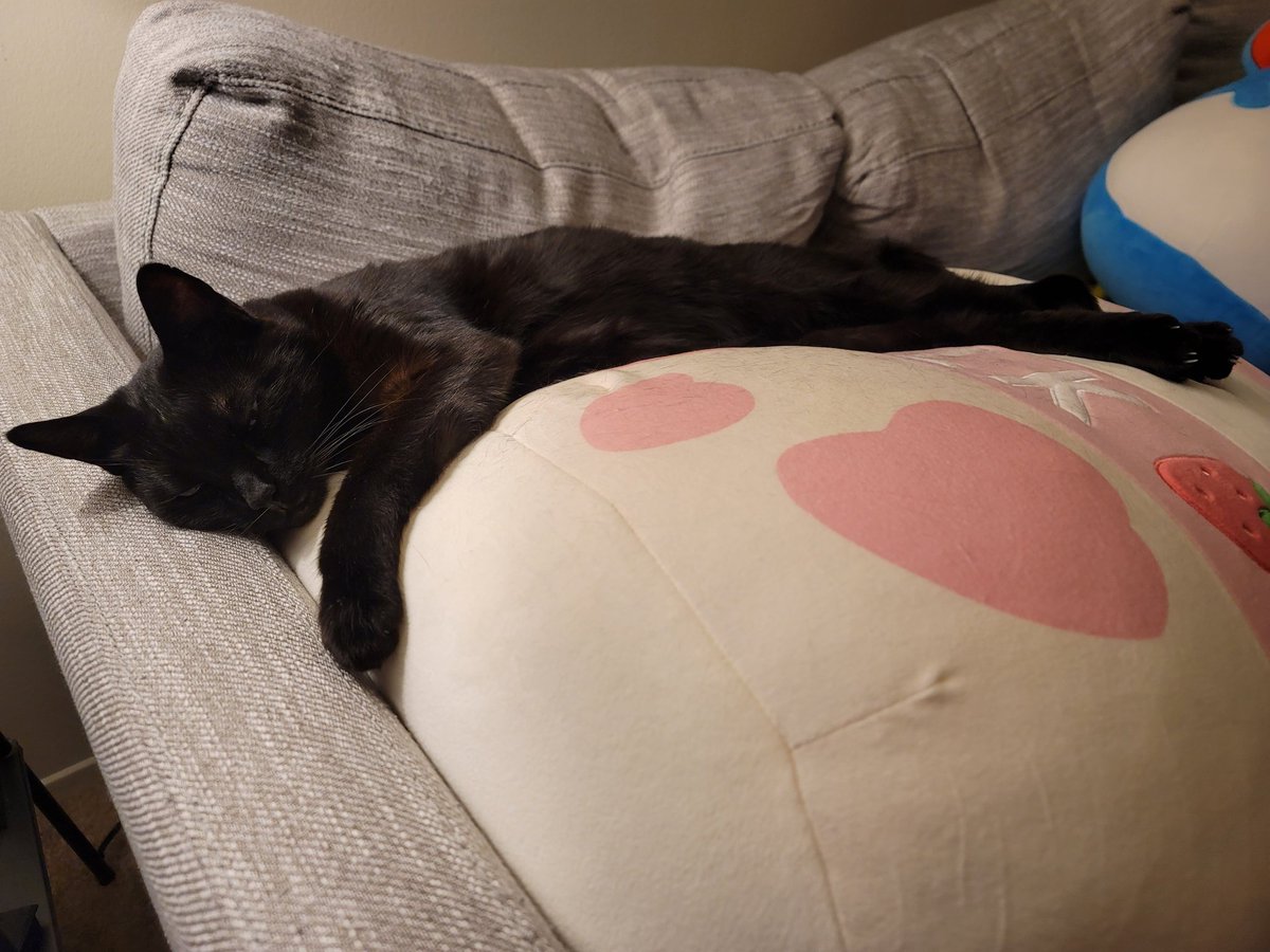 DegenFurnace's tweet photo. you have never been this comfy https://t.co/IKbENVE99B