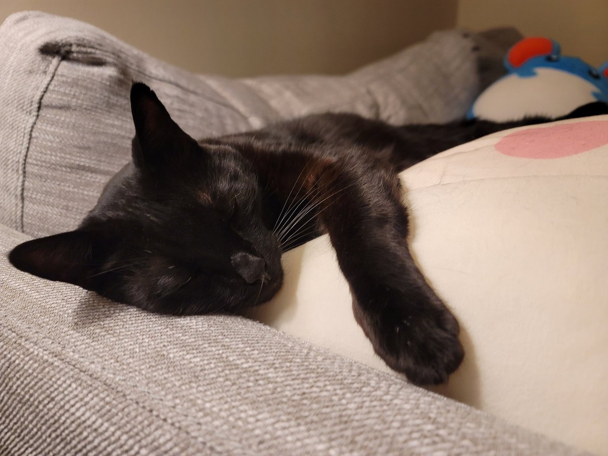 DegenFurnace's tweet photo. you have never been this comfy https://t.co/IKbENVE99B