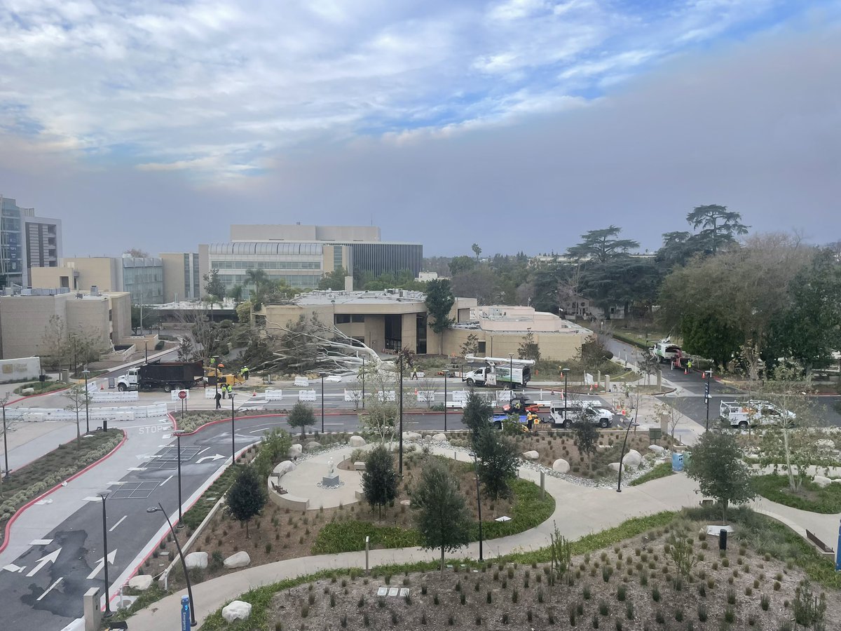 Laleh Melstrom tweet media