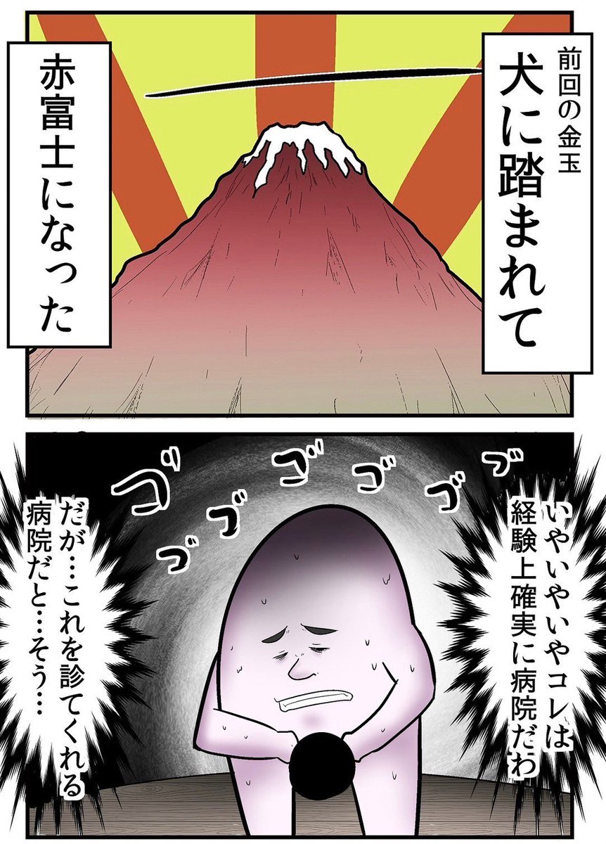 犬に踏まれて金玉が破裂しかけた話 3/5 