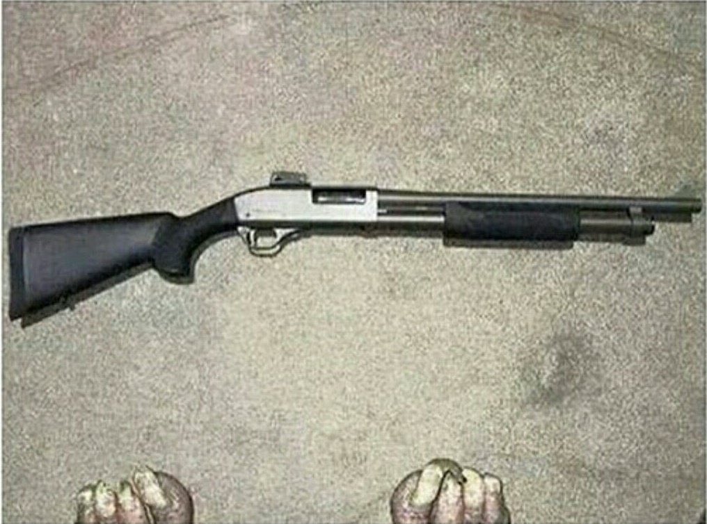 Weapons Daily tweet media