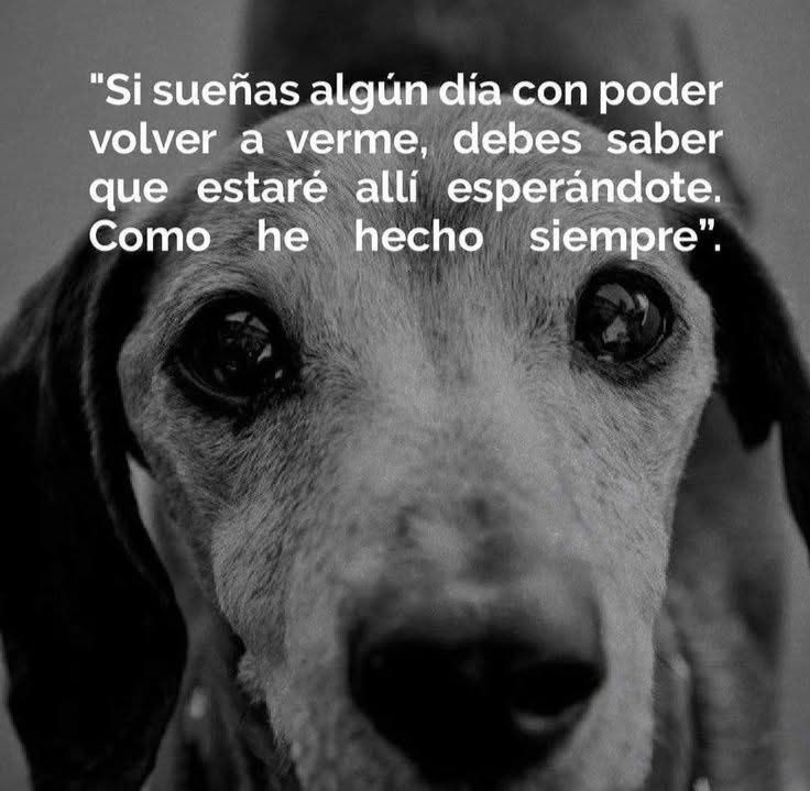 Nos volveremos a encontrar 🙏🏽