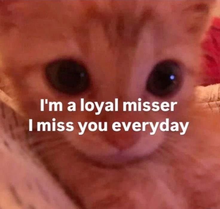 astralbaes's tweet photo. https://t.co/D7iAamTYfQ