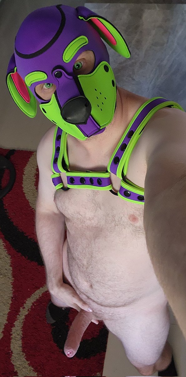 Nitropup4's tweet photo. Another lazy Sunday https://t.co/9LW9XmVPkN