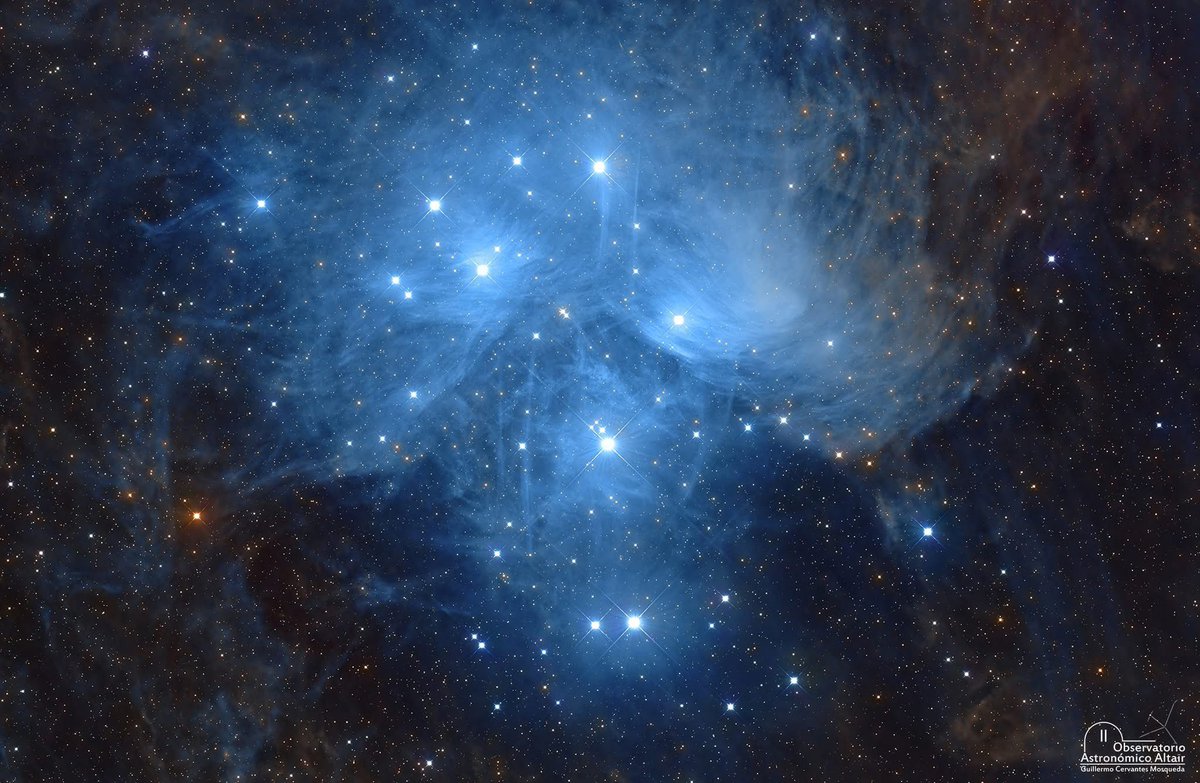 Ana Julia tweet media