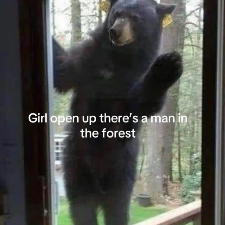 whotfisjovana's tweet image. ︎ ︎ ︎ ︎ ︎ ︎ ︎ ︎ ︎ ︎ ︎ ︎ ︎ ︎ ︎ ︎ ︎ ︎ ︎ ︎ ︎ ︎ ︎ ︎ ︎ ︎ ︎ ︎ ︎ ︎ ︎ ︎ ︎ ︎ ︎ ︎ ︎