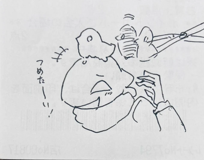 ガレオは鼻先に、ロロさんは頭の上にアヒルさんを作っちゃいましょうねぇ! 