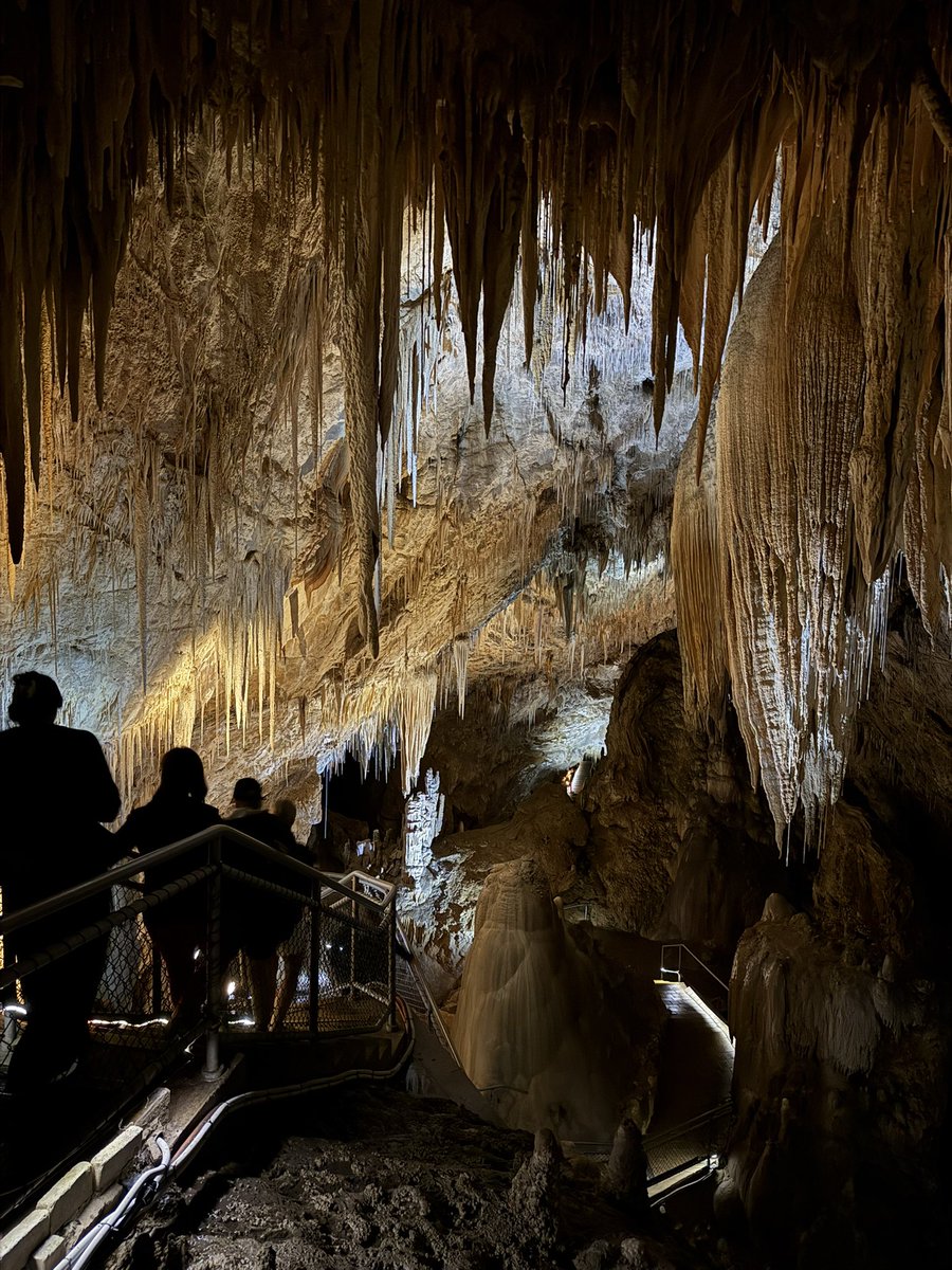 Alagappan Muthu tweet media