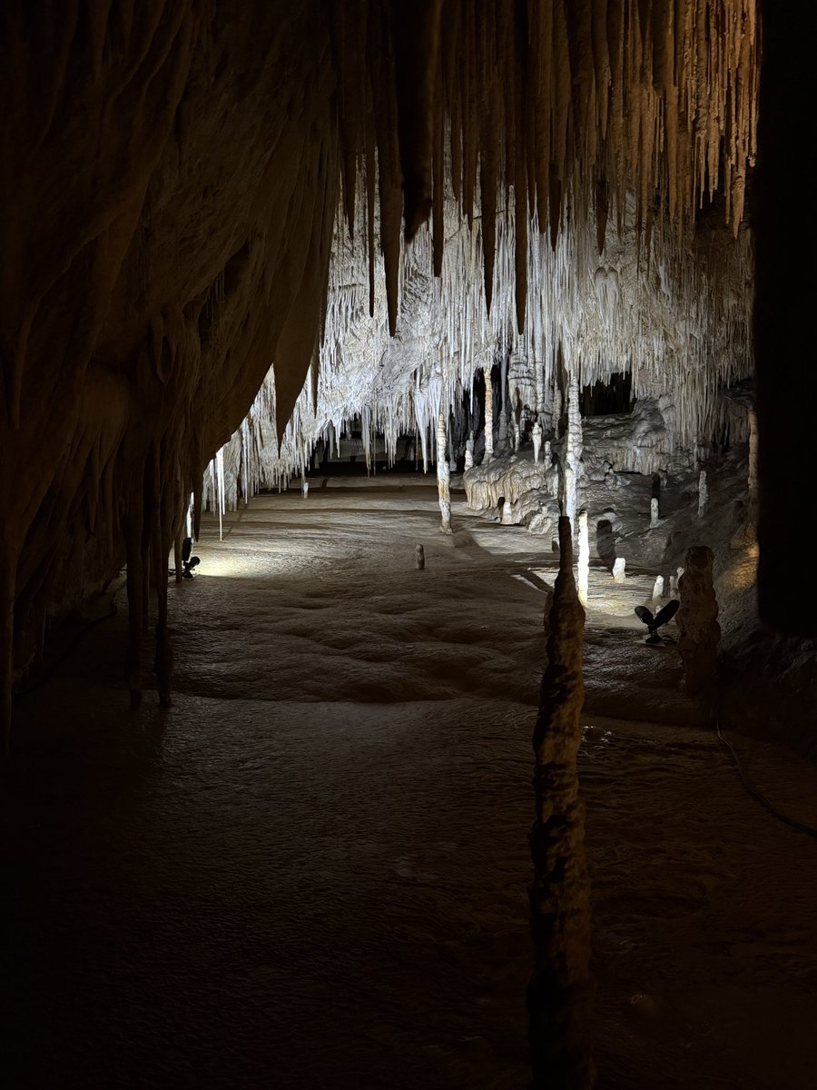 Alagappan Muthu tweet media