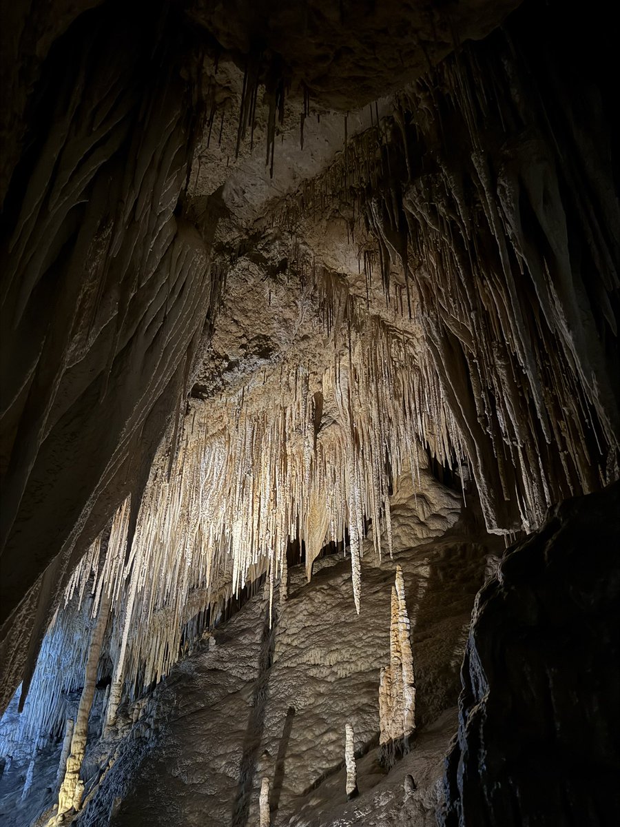 Alagappan Muthu tweet media