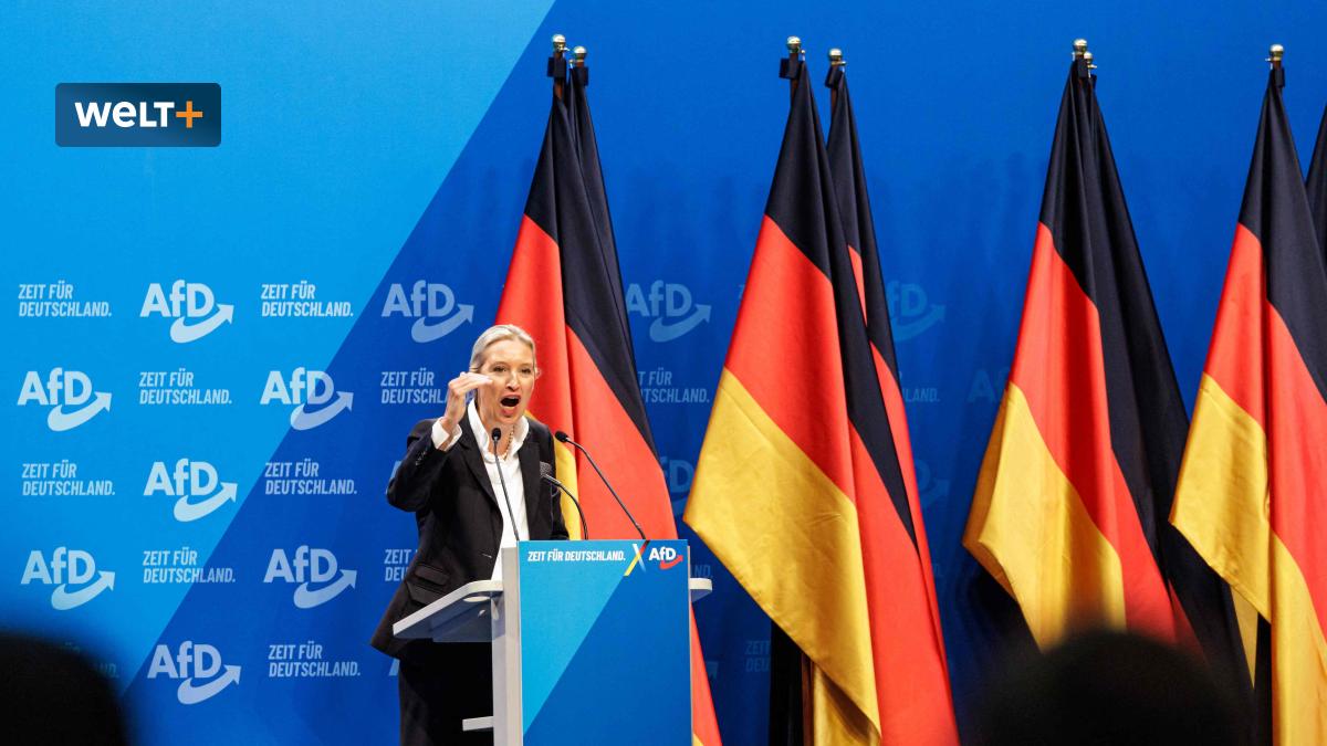 WELT tweet media