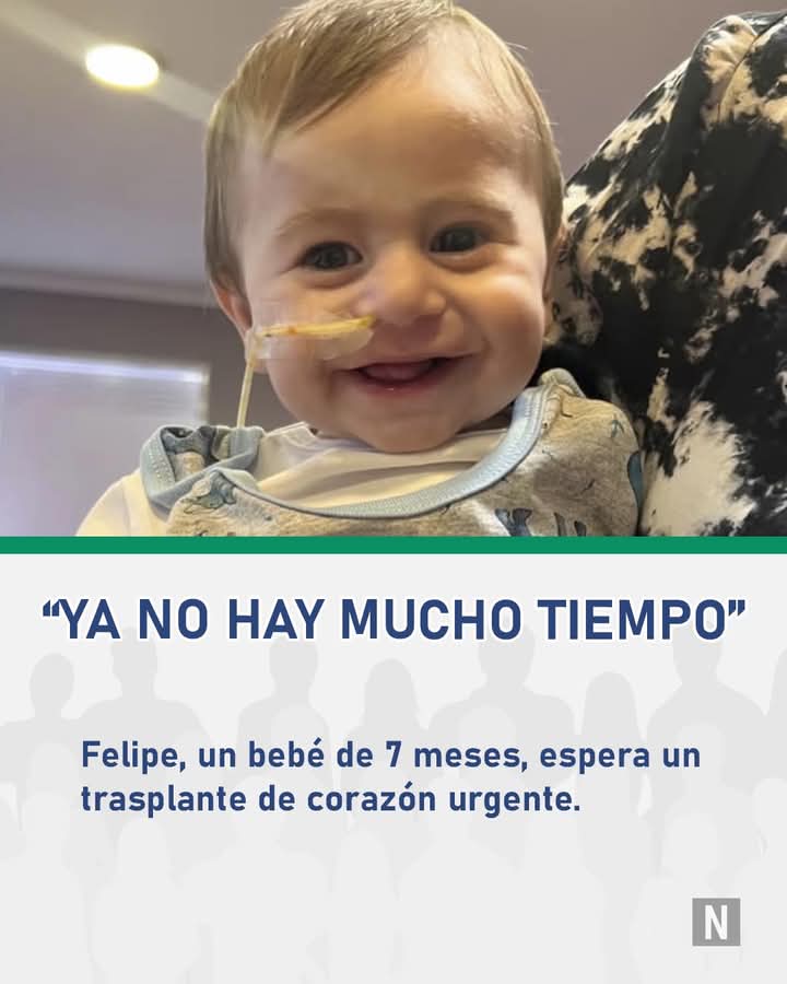 KarinArcus_ok's tweet photo. ¡AYUDA URGENTE PARA FELIPE!

Felipe tiene 7 meses y está en emergencia nacional esperando un trasplante de corazón. Su historia comenzó con una bronquiolitis pero una bacteria afectó gravemente su corazón, dejándolo sin la posibilidad de seguir viviendo sin un trasplante urgente. https://t.co/ZbOxzqN3uc