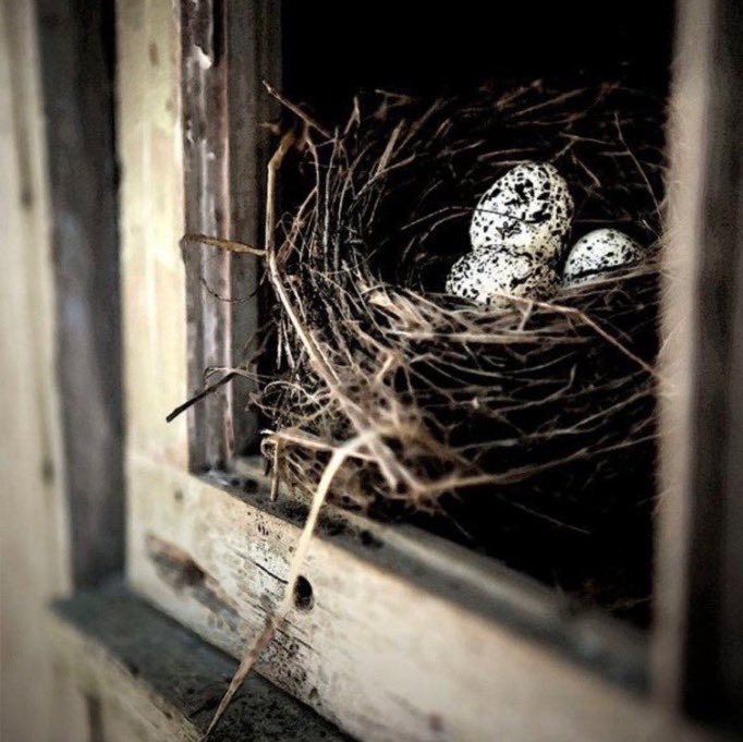 ‏‏﴿‹ طآيش ♔ tweet media