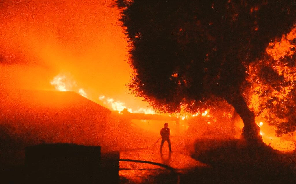 The Crypto Nomad tweet media