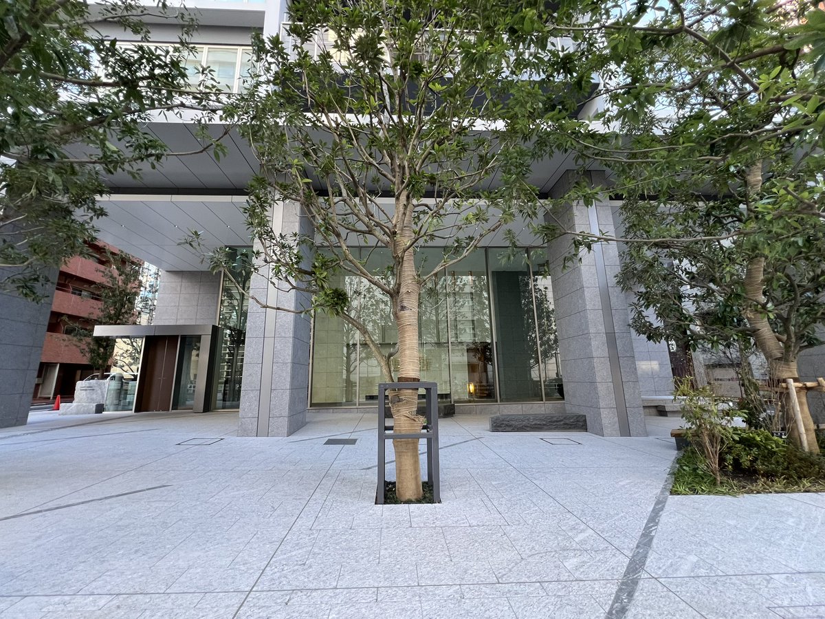 mansionretainer's tweet photo. 新宿御苑の管理業務ついでにパシャリしました。賛否ありますが、御苑一望できる部屋は最高ですよ😊

クラッシィタワー新宿御苑🗼 https://t.co/qkAiV6xiNg