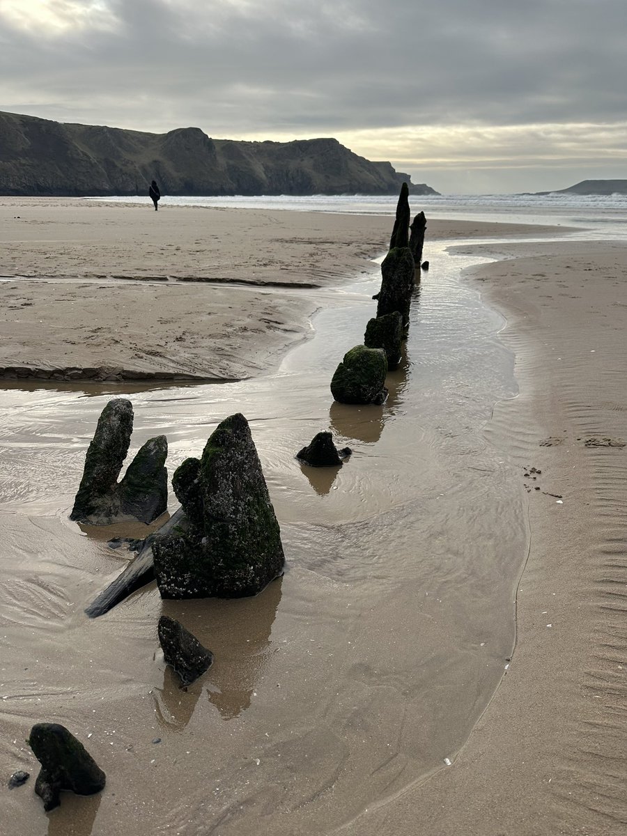 Meningioma Host tweet media