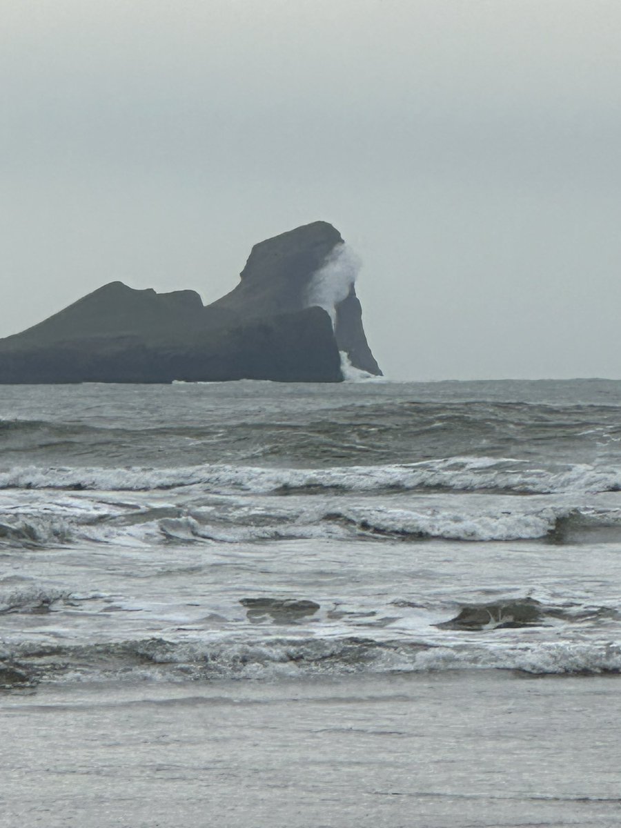 Meningioma Host tweet media