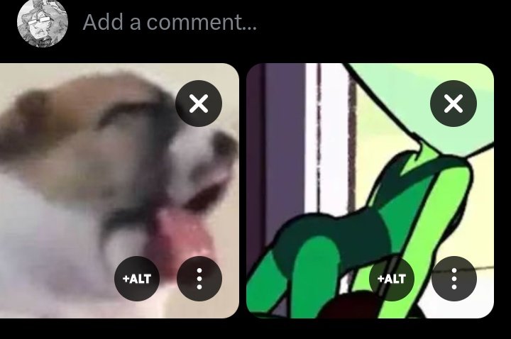 mel (@melflower_art) on Twitter photo 