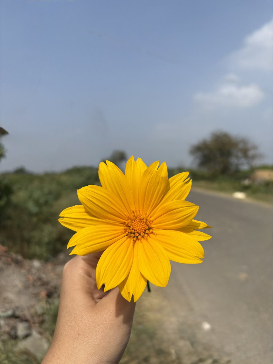 Hi everyone! Just wanted to say hi and share little beauty with all you.