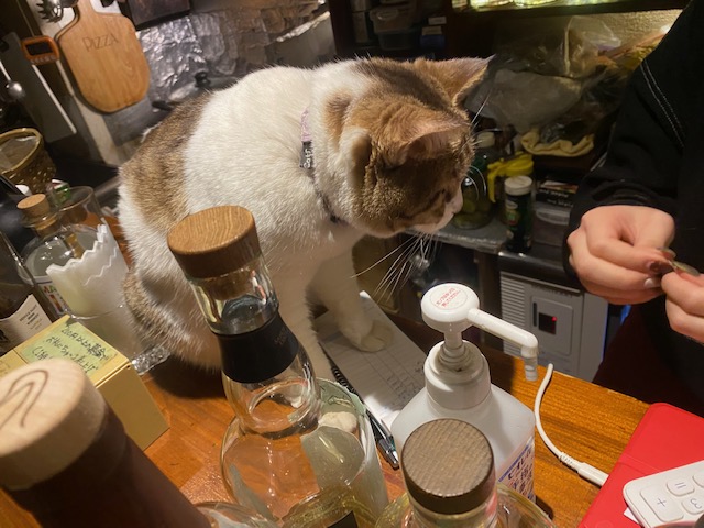 meroom's tweet photo. 久々のデラ会(#パリフワ の「#うなぎ中嶋」<#白山>&#猫のいるバー ・ #新宿ゴールデン街「#4CsBar ROSSO」)#うなぎ #猫 #bar
https://t.co/nlvnqqeJCm https://t.co/BwXmtmDG1l