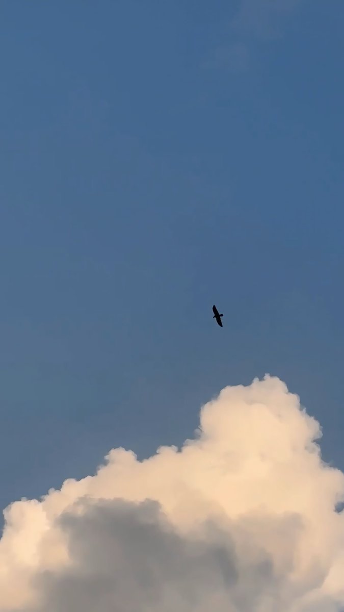 394ui's tweet photo. https://t.co/UuYAPR32Vd