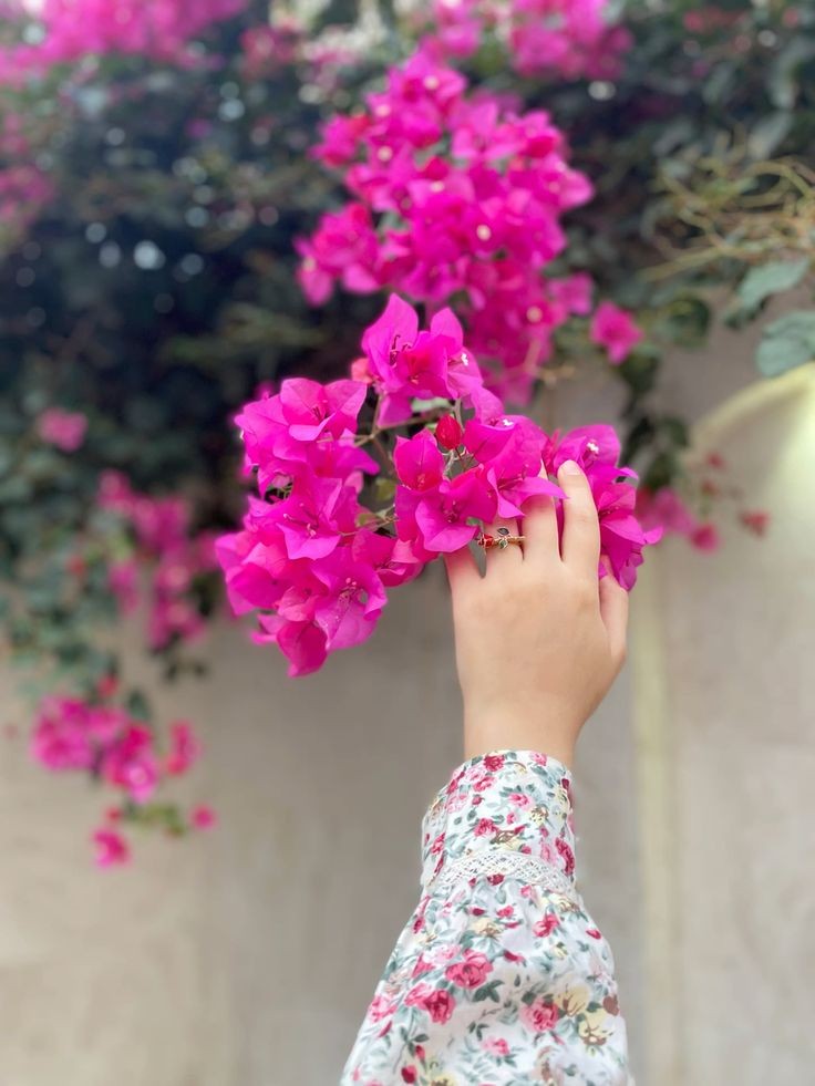 𝗚𝗢𝗢𝗗 𝗔𝗙𝗧𝗘𝗥𝗡𝗢𝗢𝗡 '𝐗' 𝐍𝐀𝐓𝐈𝐎𝐍💯

Wishing you a wonderful and productive Noon ahead. Let’s make the most of it! 😊