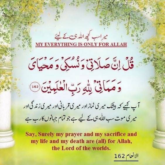 Abbasch93 (@chabbas93) on Twitter photo 