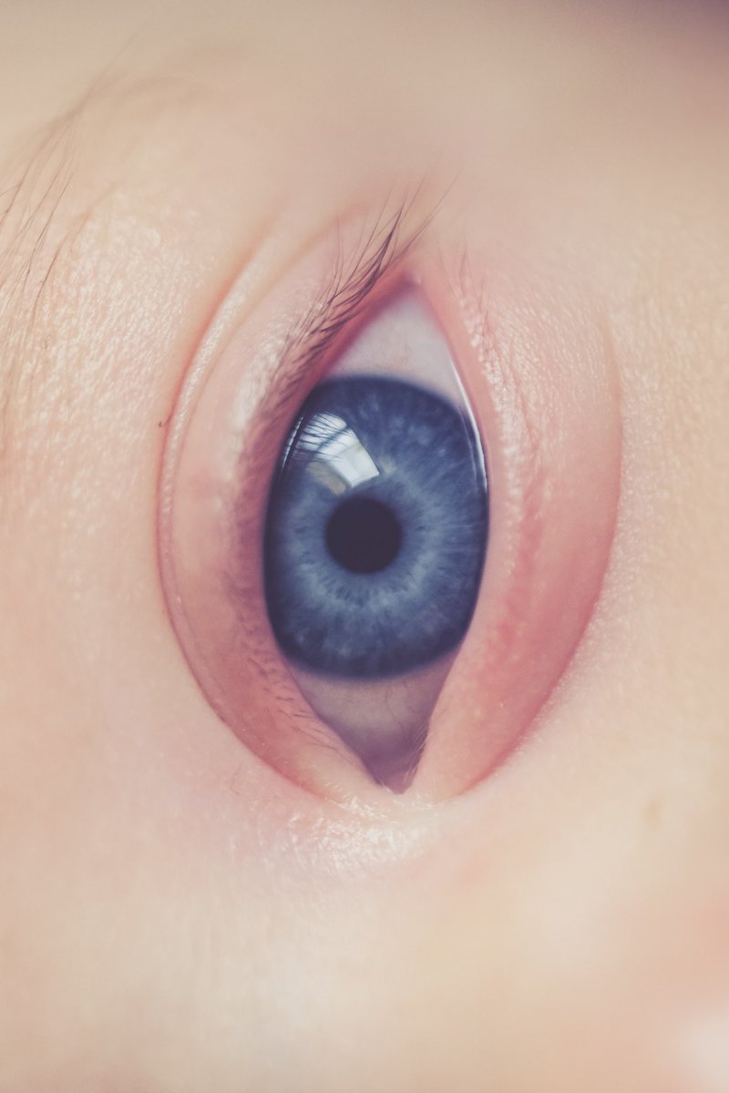 weekendsong tweet media