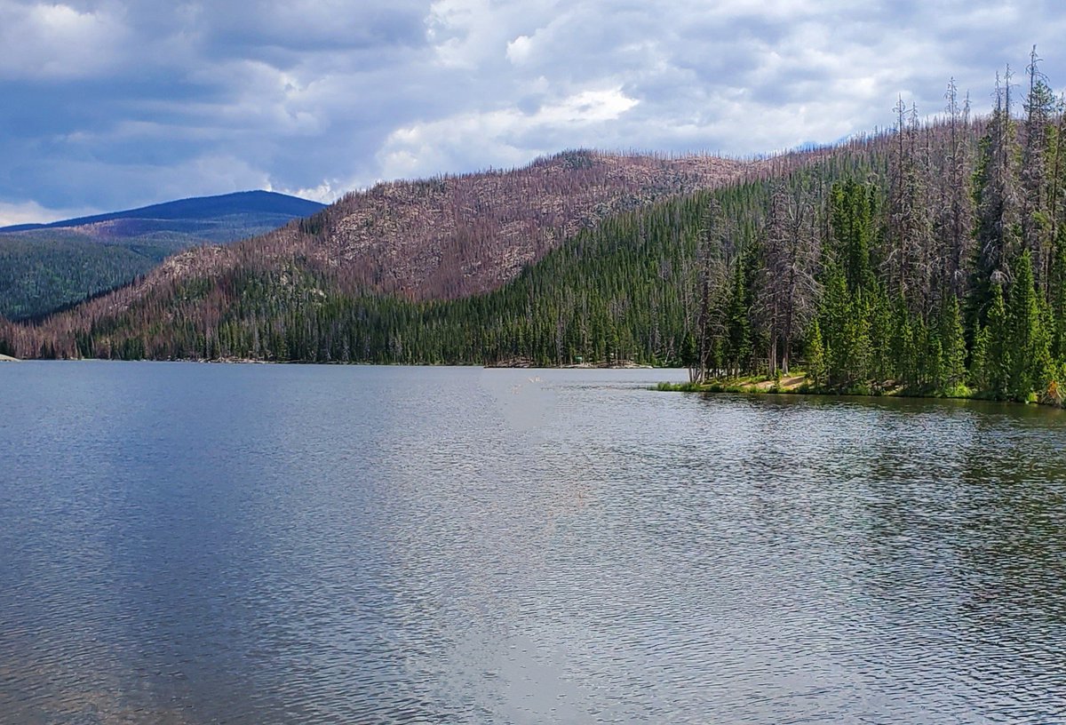 gatesman17's tweet photo. @cptspatchcock @AllBiteNoBark88 Plenty of proof that fire will burn what it wants to burn and leave what it doesn't. Pics from the Cameron Peak burn scar in CO- the fire (that burned nearly 209k acres...) left leaves ON trees and literally burned trees right next to other trees that it left untouched. https://t.co/K8ClCX2KAi