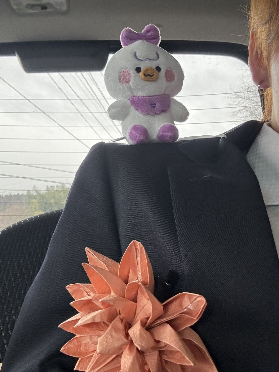 今日は成人式でした！！
やっぱり肩乗せマヤン優勝すぎるでしょ🏆

#MAYA_bubble