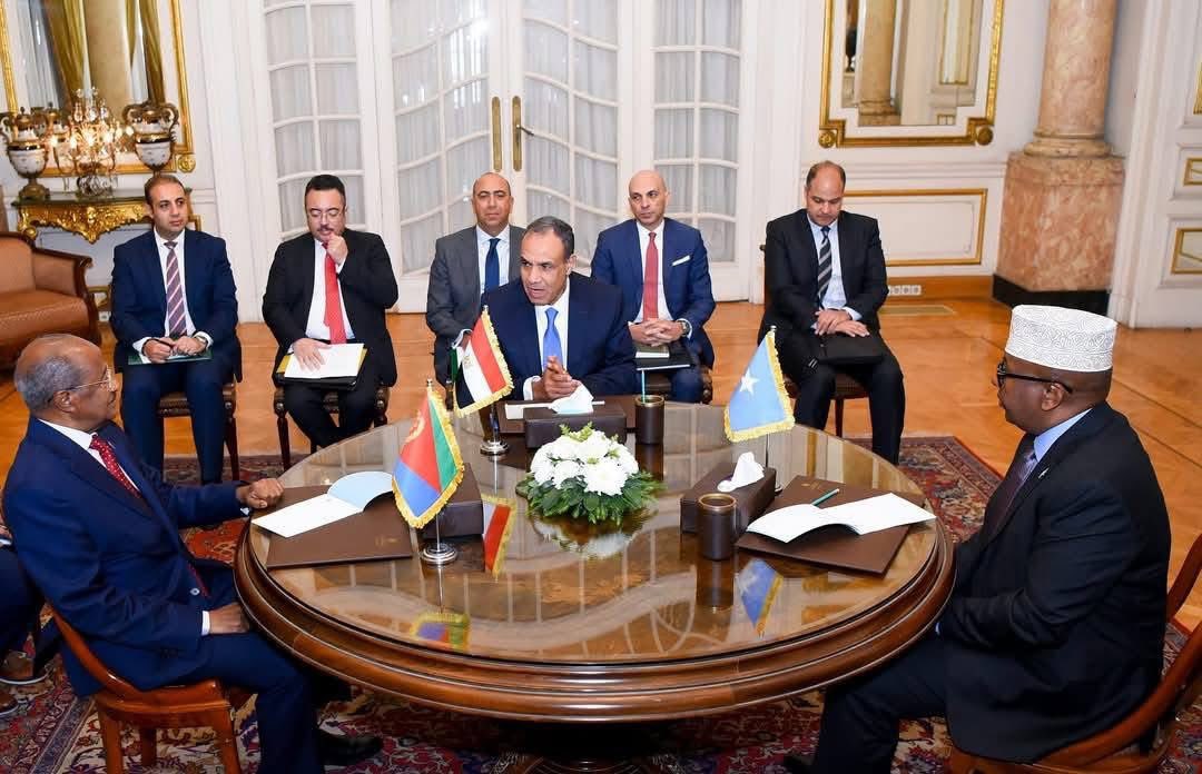 DirsheMuna's tweet photo. Marka uu dalka kuugu matalo libaax dhaba oo go’aan adag waa iska sidaan guuleysta labadeyda dal ee somalia 🇸🇴 Iyo masar 🇪🇬 Hanbalyo !!!!! https://t.co/1KfdAGN1sh