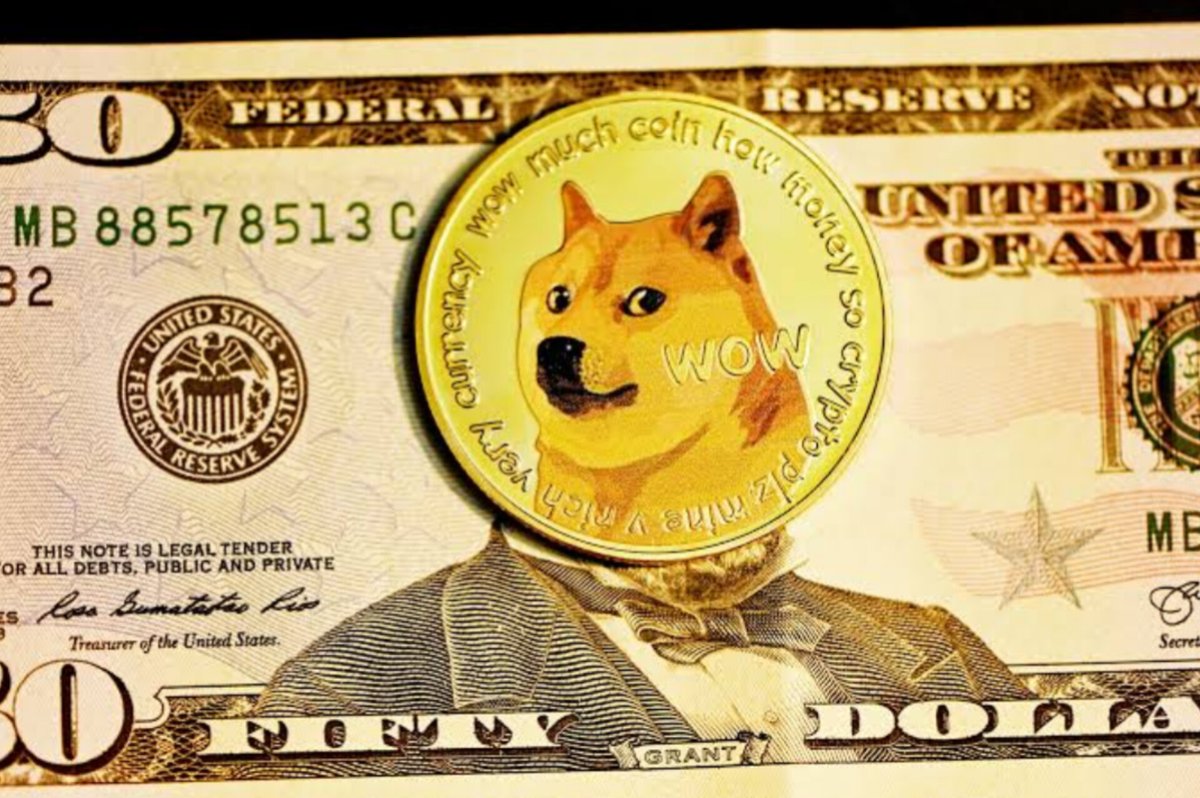 An investor who purchased dogecoin as a joke back in 2013 is now a millionaire, all thanks to cryptocurrency's significant increase in value. What began as a meme has transformed into a remarkable investment triumph.