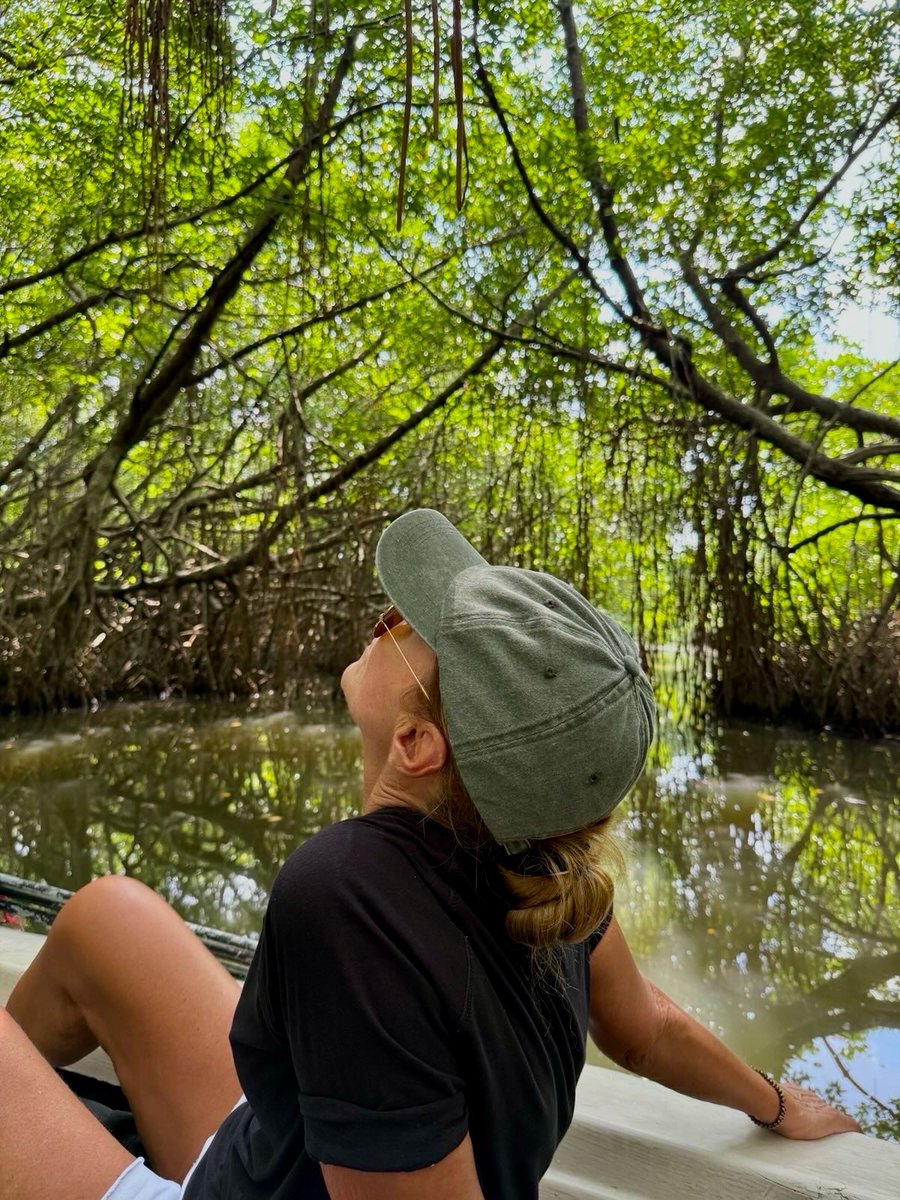 ymkevw's tweet photo. Morning mangrove chill #SriLanka #bigchill#bentota #cinnamon https://t.co/YbqP3ePcn3