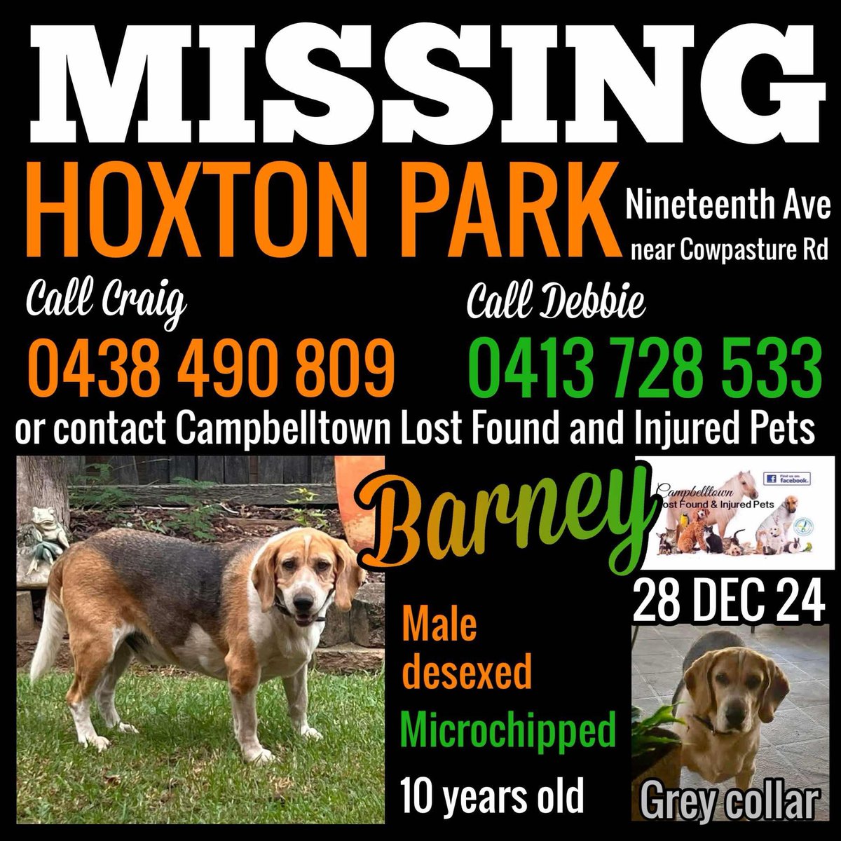 🇦🇺🐾🐶💔😞Barney stiwll isn’ howme tho dere’s mebbe bin sightin’s. Dis iz de new powster. Deys not payin’ de pet detectivs now. So expensive an k deys didn’ do much. Pwease 🙏🏻 spwead far an’ wide. Howebba hims comes howme, deys want Barney back. Can youms hewlp, pwease? Fanks.🐾