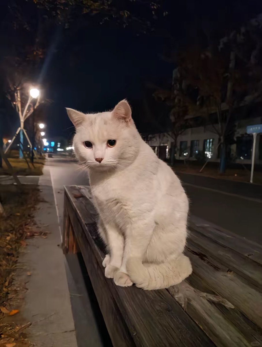 he’s lonely 😞