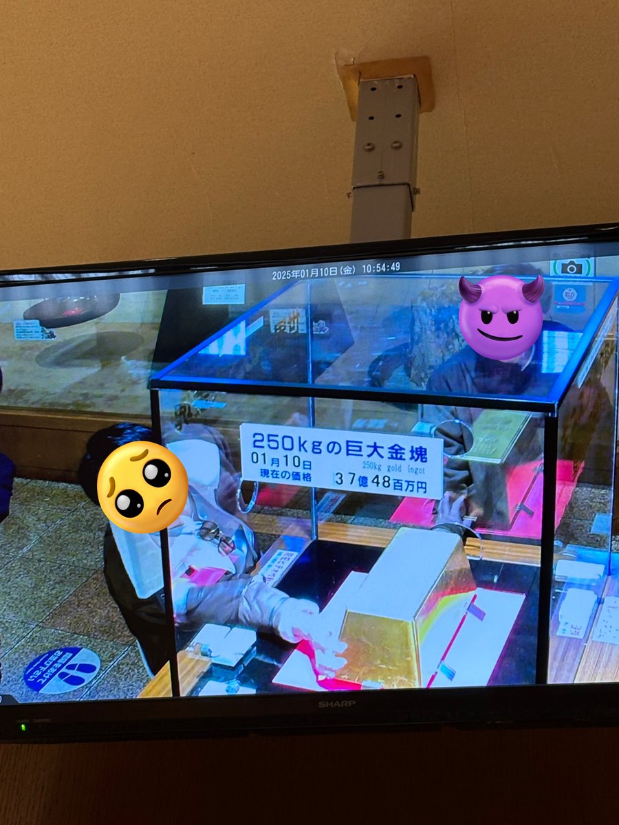 Natadecoco9646's tweet photo. 伊豆行ってきた https://t.co/tugKJ3YtwY