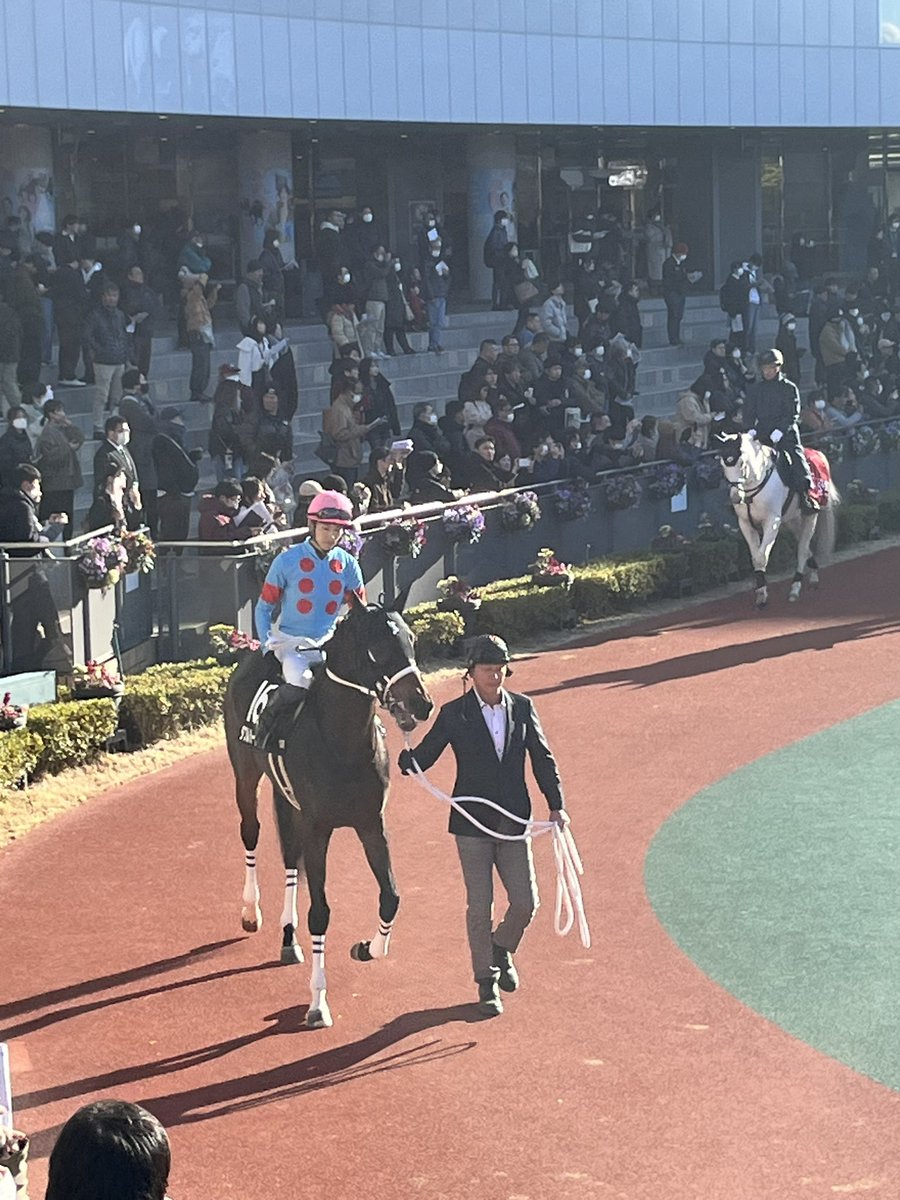 win758215's tweet photo. 可愛いかった https://t.co/UbMaiZK5cb