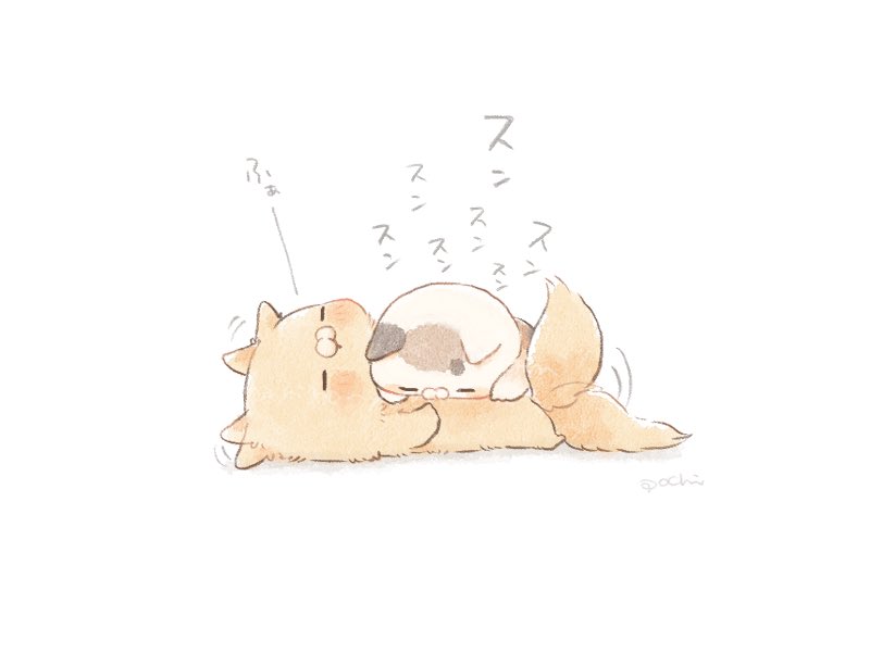 クリームくんの冬毛チェックをするミケちゃん #となりのにゃんこ