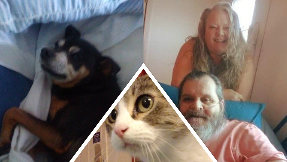 SpaceBooda's tweet image. We are a homeless+disabled family in need of motel rent, groceries, pet supplies, and storage fees. We have until Friday to raise rent. Please repost and donate if you can. Anything helps, folks. We are desperate. We were featured in a USA Today linked below w/ donation options.