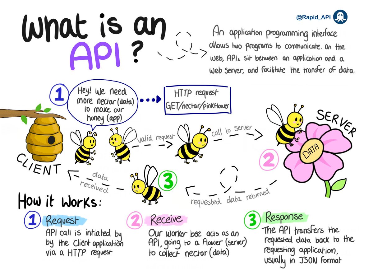 bytebytego's tweet photo. What is an API? 

A great illustration that explains: 
🔹 What is it
🔹 How it works
🔹 Why is it so popular

By Rapid_API on Twitter

--
Subscribe to our weekly newsletter to get a Free System Design PDF (158 pages): https://t.co/NyZXTn4GHS https://t.co/tmcWXDPLO5