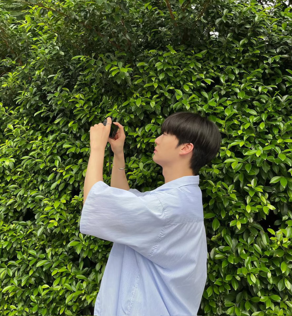 🌿
