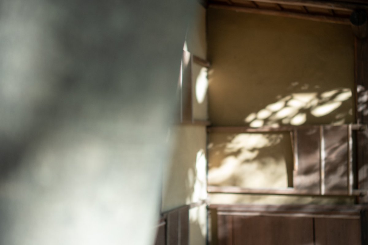 misa_miiiii's tweet image. RAW現をいまいちわからないままRAW現してみた。
#sonyα7iii #leicalens