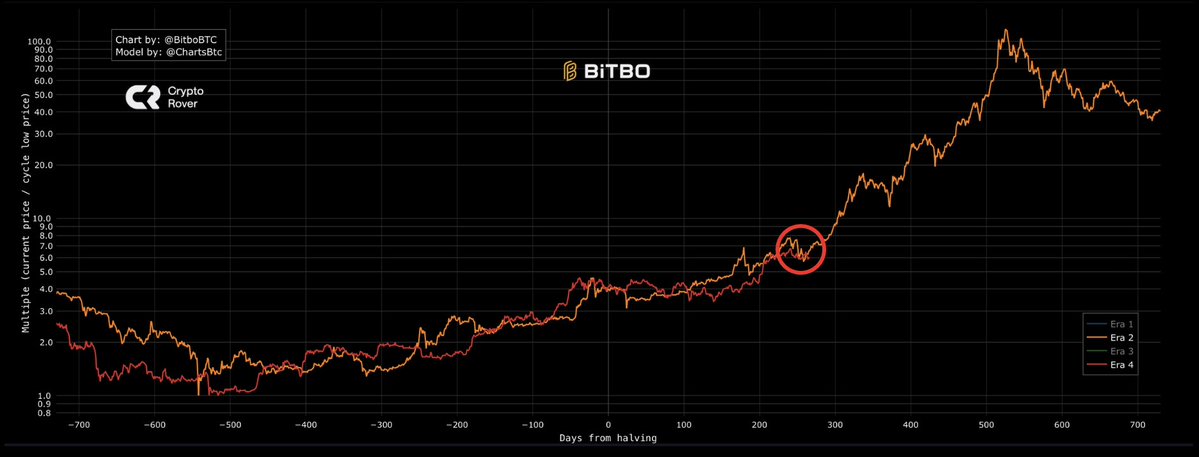 cryptorover tweet picture