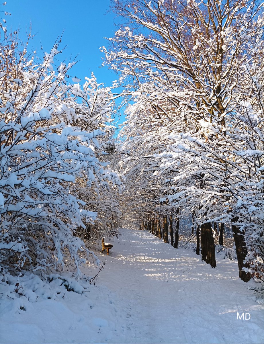 Martina Dvorská (@martinadvorsk2) on Twitter photo 