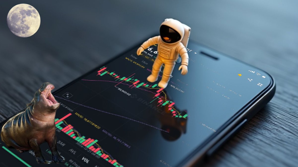 Fan Page | Moo Deng tweet media