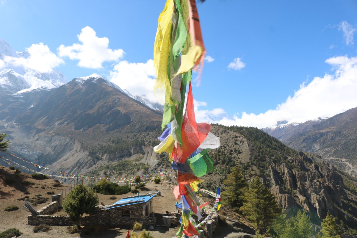 Mountain Treks Nepal tweet media